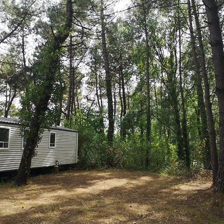 LE ILÔ - camping la dune blanche Camiers Esterno foto