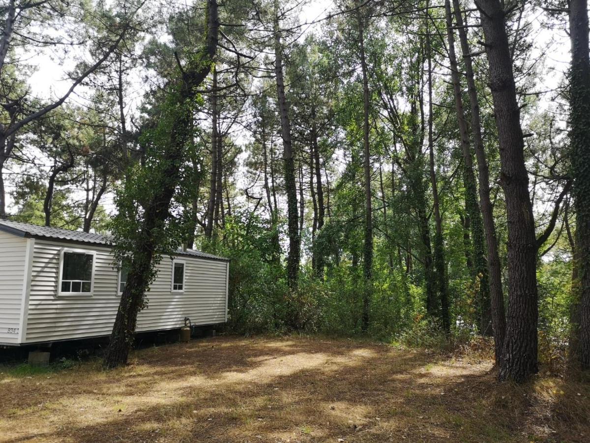 LE ILÔ - camping la dune blanche Camiers Esterno foto